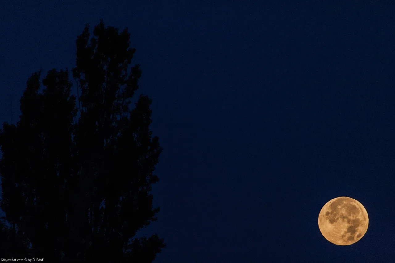 After Bloodmoon