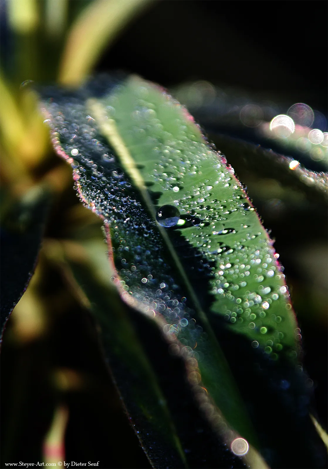 drop