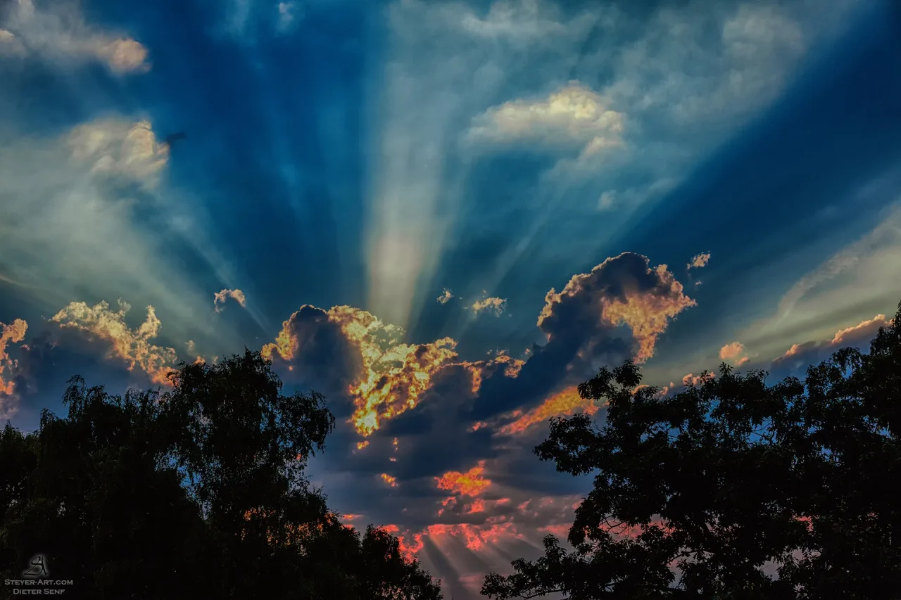 Rays