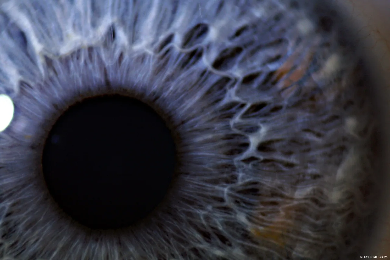 Supernova Eye 2