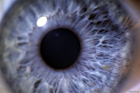 Supernova Eye 1
